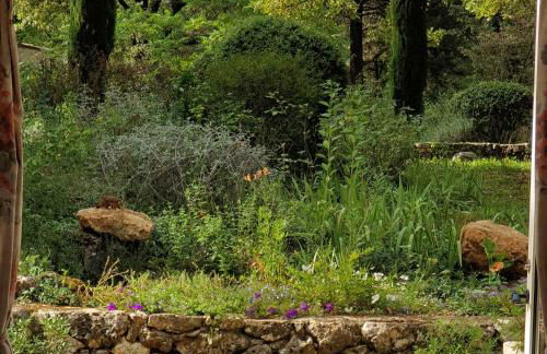 Domaine du Bois d'Amont - Foto 21