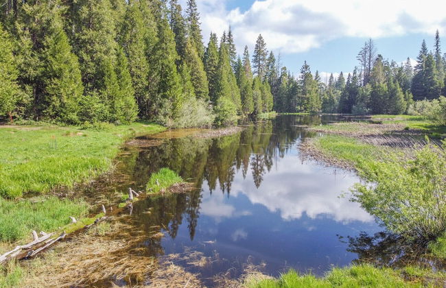 The Pond Cabin - Foto 30