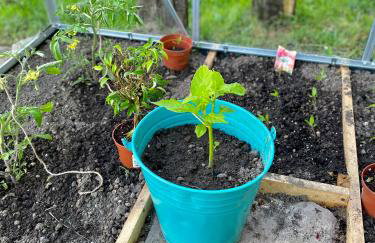 Szklana Stodoła - Foto 49