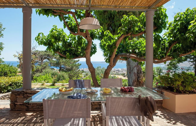 Montofoli Wine Estate - Foto 56