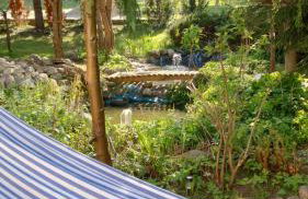 Świerkowe Ranczo Raciszewo - Foto 52