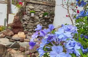 Ferienwohnung mit Panoramablick in der Finca Gran Calma - ideal für Wanderer - Foto 27