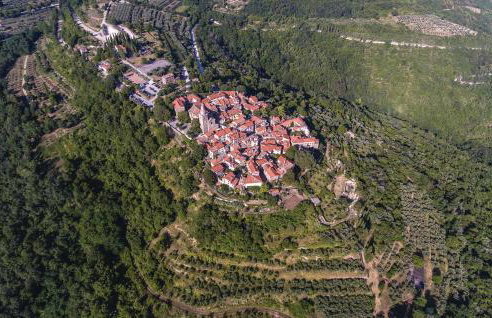 One-Bedroom Apartment Groznjan 01 - Foto 21