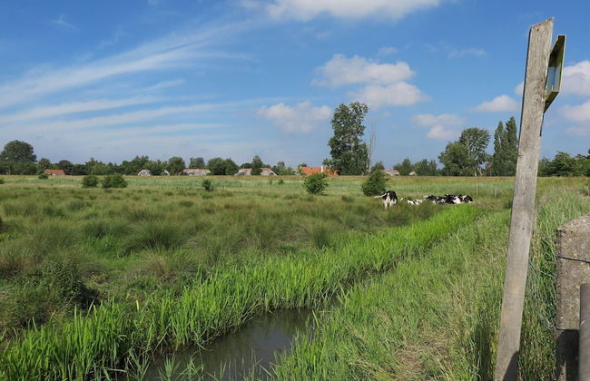 Lakeview Villa With Swimming and Fishing Pier - Foto 41