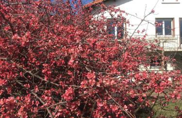 Studio neuf dans maison avec vue sur la chaine des puys - Foto 7