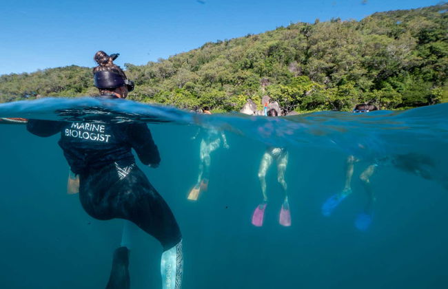 Traghetto per l'isola Fitzroy - Foto 10