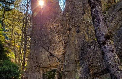 Historic Mountain Retreat - Near Boreal - 3 Kings - Photo 29