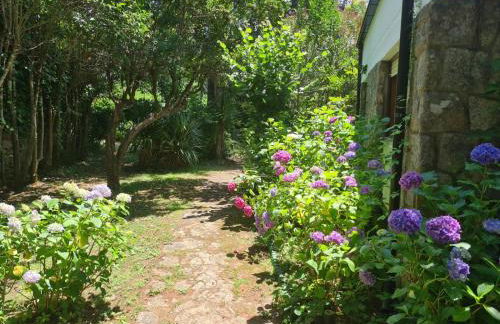 Finca Axarquía de Gredos - Photo 72