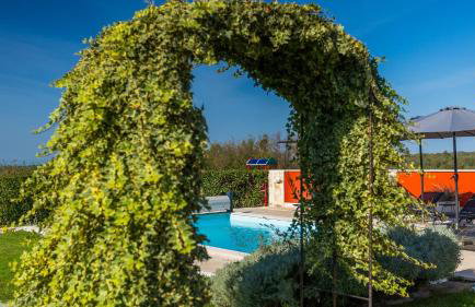 Activity villa Marula with outdoor pool in Buje - Foto 7