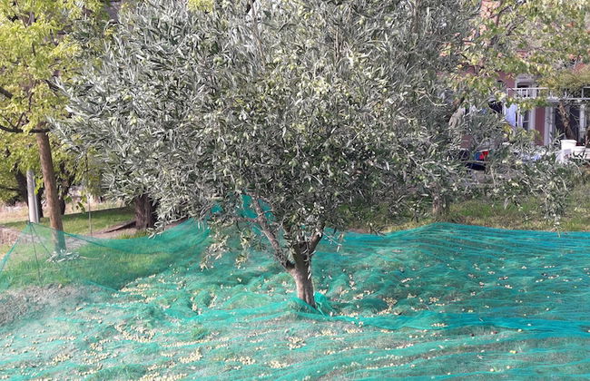 Family Apartment Kocevar - Foto 49