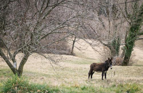 Mountain Lodge Istria - Stone Lodge II - Photo 38