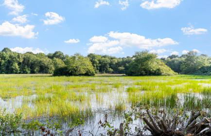 Pondfront Retreat Near Beaches - Foto 41