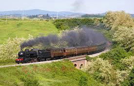 Agriturismo Il Paradiso - Foto 66