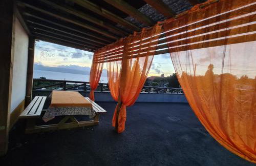 Lucy's Rosegarden - Photo 14