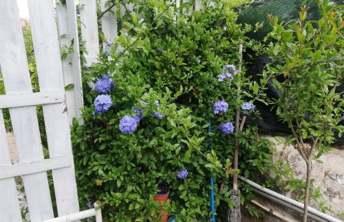 Casa Deli - Le Farfalle Blu - Foto 8