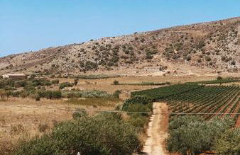 Terra di Suli - Foto 18