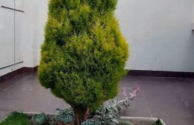 Minimalist Apartment - Photo 65