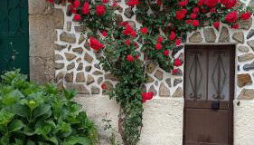 Casa Amarela - Aldeias - Serra da Estrela - Foto 3, Garden, Garden view