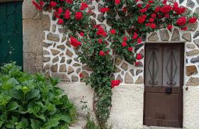 Casa Amarela - Aldeias - Serra da Estrela - Foto 3