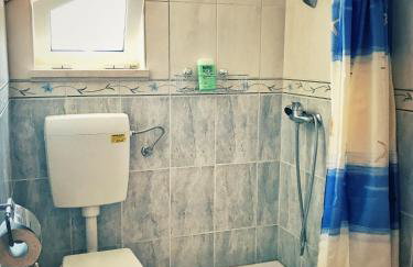 Ruzicin dvor - Photo 24