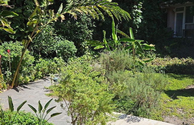 Novo Hotel & Suite - Photo 16