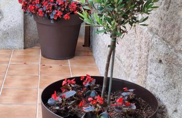 Casa Rivas - Foto 51