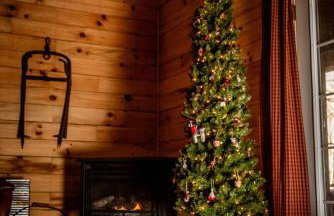 Hocking Hills Cabin, Hot Tub, Private Pond - Foto 8