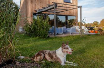 Zen Sasino - Foto 64