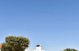 Aleixo's House | Alentejo - Foto 30