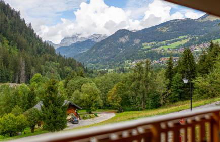 Les Freinets - Apt A01 - BO Immobilier - Reduced prices on ski passes Châtel & Portes du Soleil - Foto 6