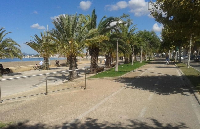 Actinia Accomodation - Photo 34