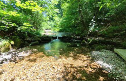 Sägemühle Eschachthal - Photo 32