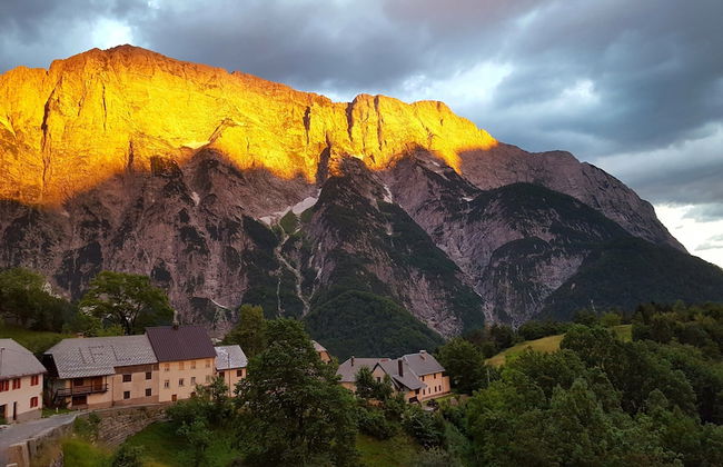 Apartma Pohar- A Bit Different! - Foto 47