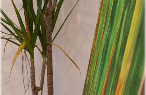 Altbaucharme! 2Zimmer, zentral und 24h Check-in - Foto 9