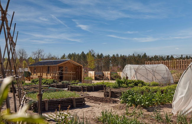 Center Parcs Les Landes de Gascogne - Photo 74