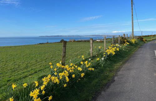 Tornaroan Cottage - Foto 63