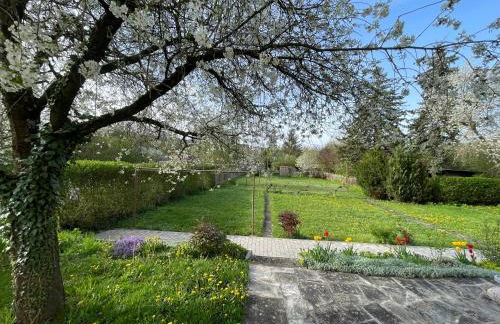 FeWo Pelkmann Apartment 1 - Die Grüne Oase in Weikersheim - Foto 30