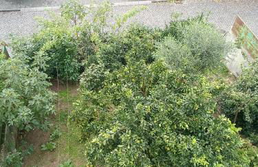 Apartment with balconies and garden - Foto 18