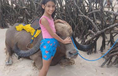 Hoste sol nascente - Photo 9