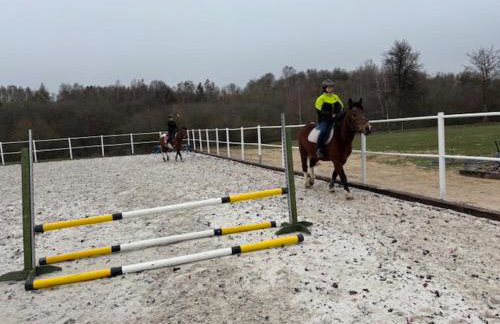 Baba Jagna - Foto 71