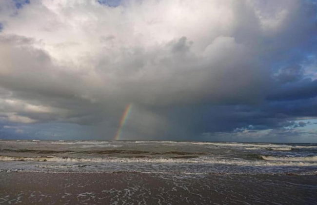 Apartment in Bergen Near Schoorl Dunes - Photo 31