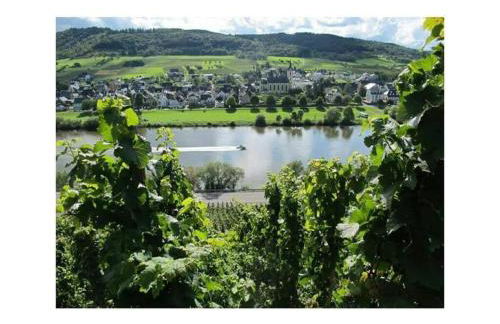 Holiday Apartment Moselle Beach 1 - Foto 41