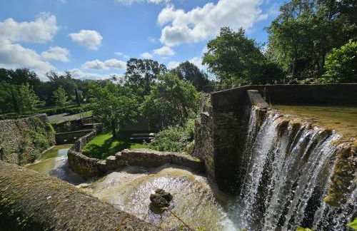 Domaine de Bagard - Photo 12