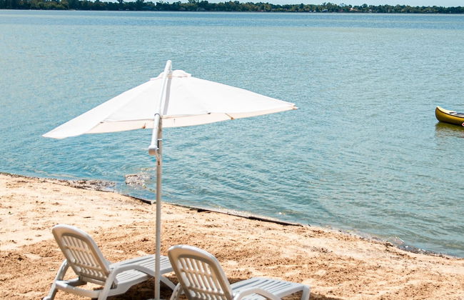 Olivos de Monte - Foto 61