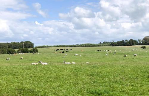 Brodie Cottage - Foto 16