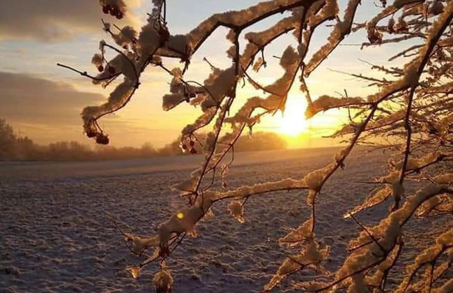 Ferienhaus Zum Unneschmitz - Foto 26