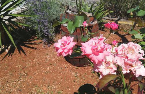 Apartments Amfora - Foto 59