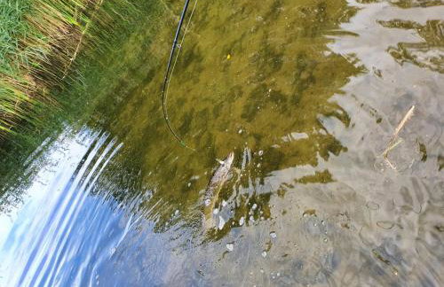 Domek nad jeziorem - Foto 30