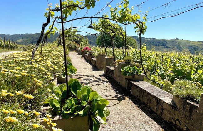 Quinta da Cumieira - Foto 35