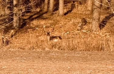 Apartament Jerzyn - Foto 52